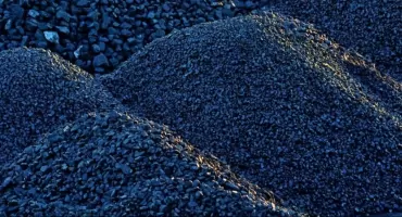 Wyprzedaż w sklepie PGG. Ostatnia szansa na zakup wycofywanych groszków