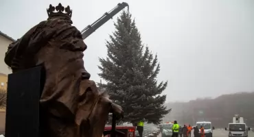 Choinka z Pszczelnika stanęła na jaworznickim rynku