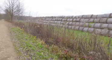 Odkrywaj wyjątkową przyrodę lasu 