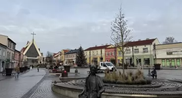 Prawie 10 tysięcy złotych za ambrowca na Rynku. To jednak koszt samego zakupu drzewa