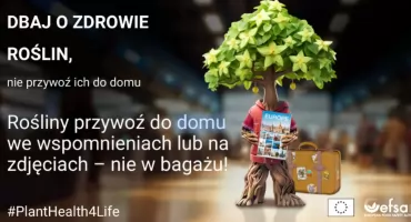Nie przywoź roślin z zagranicy – nawet mała roślina może być zagrożeniem