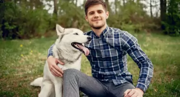 Fascynuje Cię świat jamników, yorków i border collie? Poznaj zawód behawiorysty!