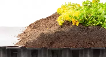 Kratki na zielony dach – jak zaplanować warstwy, drenaż i ochronę roślin?