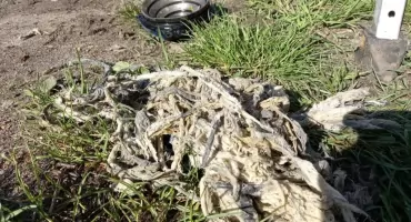 Nie wrzucaj tego do toalety – Wodociągi przypominają o zasadach