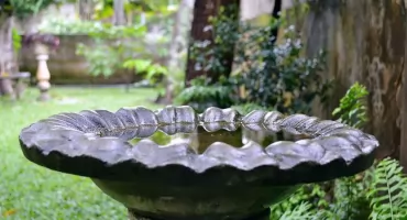 Program „Błękitno-zielona Infrastruktura” wystartował