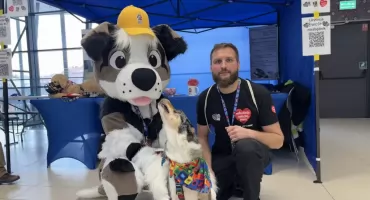 BCT Szkolenia Psów na 34. Finale WOŚP