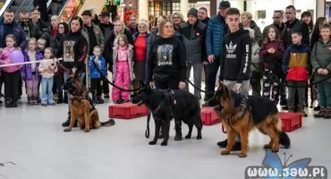 Szachty Libiąskie zaprezentowały możliwości psów obronnych na finale WOŚP