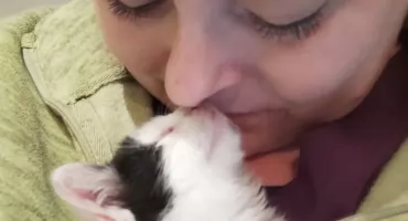 Ratowała innych, dziś sama potrzebuje pomocy. Zbiórka dla weterynarki z Jaworzna