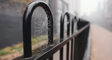 Jak polskie ogrodzenia metalowe stały się standardem na niemieckich posesjach?