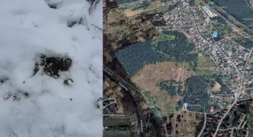 Spacer jak tor przeszkód. Końskie odchody na trasie w Jeleniu