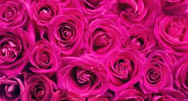 Dzień Kobiet z Klubem To i Owo oraz ZM LOK 