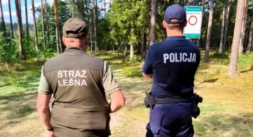 Trwa sezon na zrzuty poroża u jeleni. Dzielnicowi i Straż Leśna ruszyli do wspólnych patroli w lasach