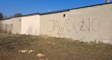 Służby w Jaworznie sprzątają, ptaki wracają. Nie rozrzucajcie chleba