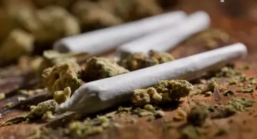 Narkotyki znalezione w pracy. Kryminalni zatrzymali 39-latka z Jaworzna