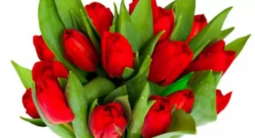 Zaproszenie na imieniny Krystyn - piątek, 13 marca 