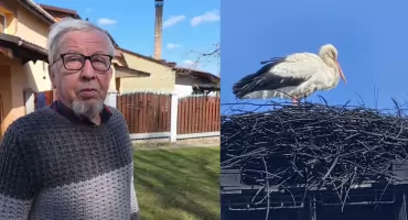 Pierwszy dzień wiosny w Jaworznie. Bocian przyleciał na komin Stanisława Bigaja 