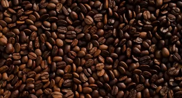 Co wyróżnia kawę ziarnistą i dlaczego uchodzi za najlepszą formę kawy?