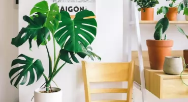 Stojak wysoki czy niski – co sprawdzi się w wnętrzu Twojego mieszkania?