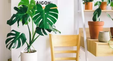 Stojak wysoki czy niski – co sprawdzi się w wnętrzu Twojego mieszkania?