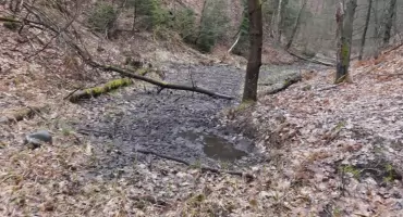 Powrót nad Jaworznik - wąwóz, źródło i ślady zapomnianej rzeki