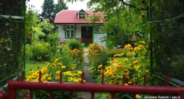 Ogródki działkowe z miejskim wsparciem