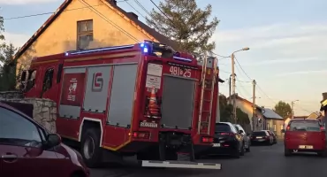 Strażacy z Jaworzna uratowali sarenkę