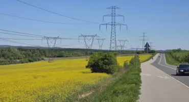 Pole rzepaku w Jaworznie przyciąga wzrok. To wyjątkowa sceneria do zdjęć