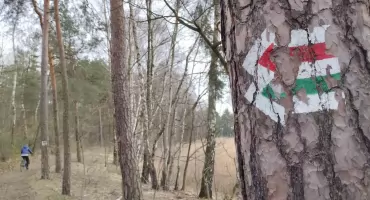 Szlaki turystyczne w Jaworznie: Jaworznicki Obszar Gospodarczy wymusza zmiany na mapie naszego miasta. Pora też odświeżyć turystyczne znaki