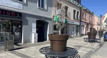 MZDiM poszukuje pracownika sezonowego do opieki nad miejską zielenią