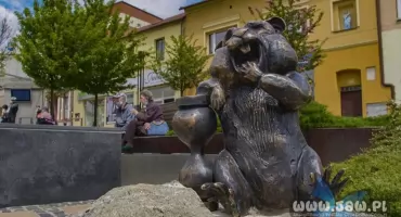Jaworzno kupi 60 chomików 