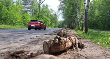 Kłody przy drodze obok Zalewu Sosina. Blokada miejsc czy jednak sposób na nierespektowanie przepisów i parkingowy chaos? Czy to bezpieczne?