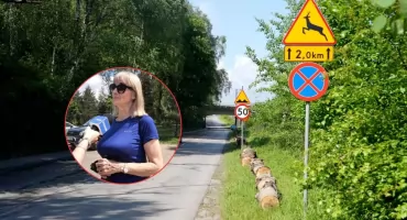 Kłody pod kołami nad Zalewem Sosina w Jaworznie. Mają blokować parkowanie, ale kierowcy twierdzą, że stanowią zagrożeniu