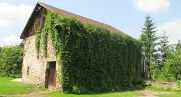 Długoszyn - ciekawa historia