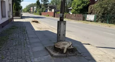 Wycinają drzewa, bo będą kolidować z drogą. Urząd tłumaczy się z wycinki drzew na ul. Szczakowskiej