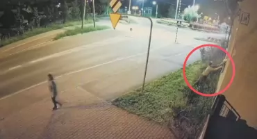 Bezwstydna kradzież w Jaworznie. Kobieta ukradła kwiatki z okna. Całość zarejestrował monitoring