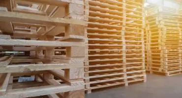 Jak zaplanować stanowisko do zbijania palet w hali produkcyjnej?