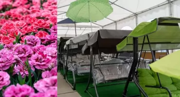 Meble ogrodowe, sadzonki i akcesoria ogrodowe w Jaworznie – kompleksowe zakupy do ogrodu w jednym miejscu