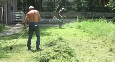 MZDiM w Jaworznie poszukuje pracownika do Działu Przestrzeni Publicznej
