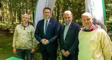 WFOŚiGW wspiera pszczelarzy. Rusza szósty etap wymiany uli