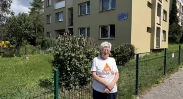 Kontrowersyjne cięcie przy ul. Cyprysowej i pozostawione kikuty. Wspólnota odpiera zarzuty