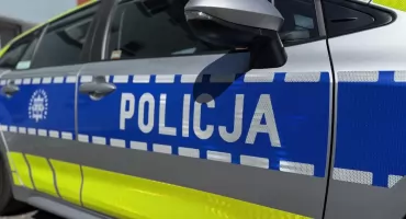 Sarna wbiegła pod samochód na ulicy Karwety
