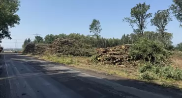 Piły poszły w ruch. Trwa wycinka kolejnych drzew pod drogę do fabryki samochodów w Jaworznie