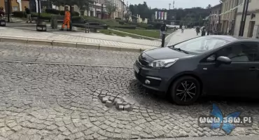 Blog: Chłodnym okiem na miejski beton