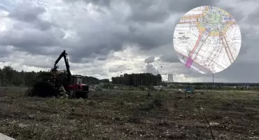 Wycinka drzew przy DK 79 w Jaworznie. Powstaną tu nowe ronda, wiadukty i drogi