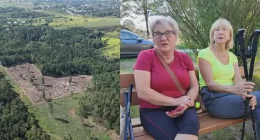 Las znika na oczach mieszkańców. Kolejna wycinka drzew w Jaworznie