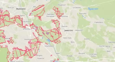 Które lasy są ważne dla mieszkańców Jaworzna? Możesz wskazać je w ankiecie
