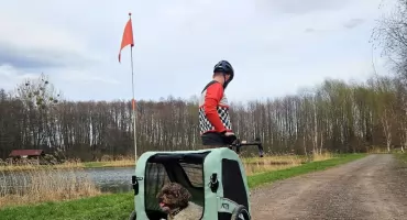 Przyczepka dla psa - rozwiązanie dla osób, które nie chcą zostawiać pupila w domu