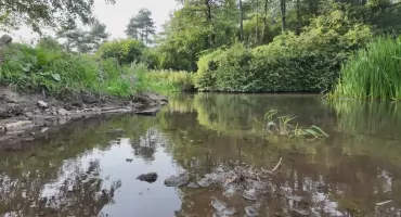 Jaworzno mało znane  – Truciciele