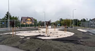 Rondo na Niedzieliskach z nową zielenią. Zasadzono drzewa