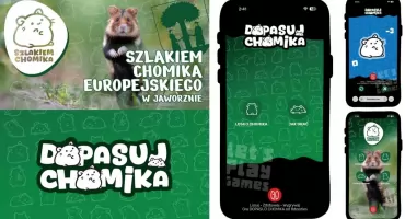 Poszukaj chomika! Nowy projekt prowadzi po Chomiczym Szlaku w Jaworznie